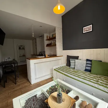 Miejski Zakatek - Centrum Zxv Zxii Apartment Katowice