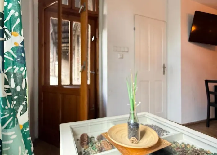 Miejski Zakątek - Centrum Zxv Zxii * Katowice